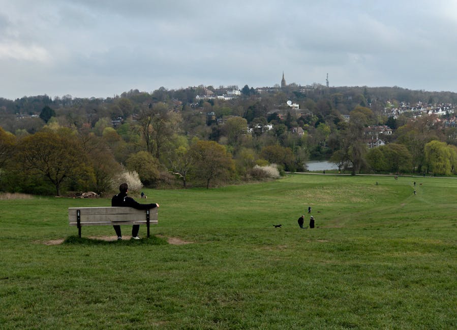 Hampstead Heath rubbish removal guide for Parliament Hill homes